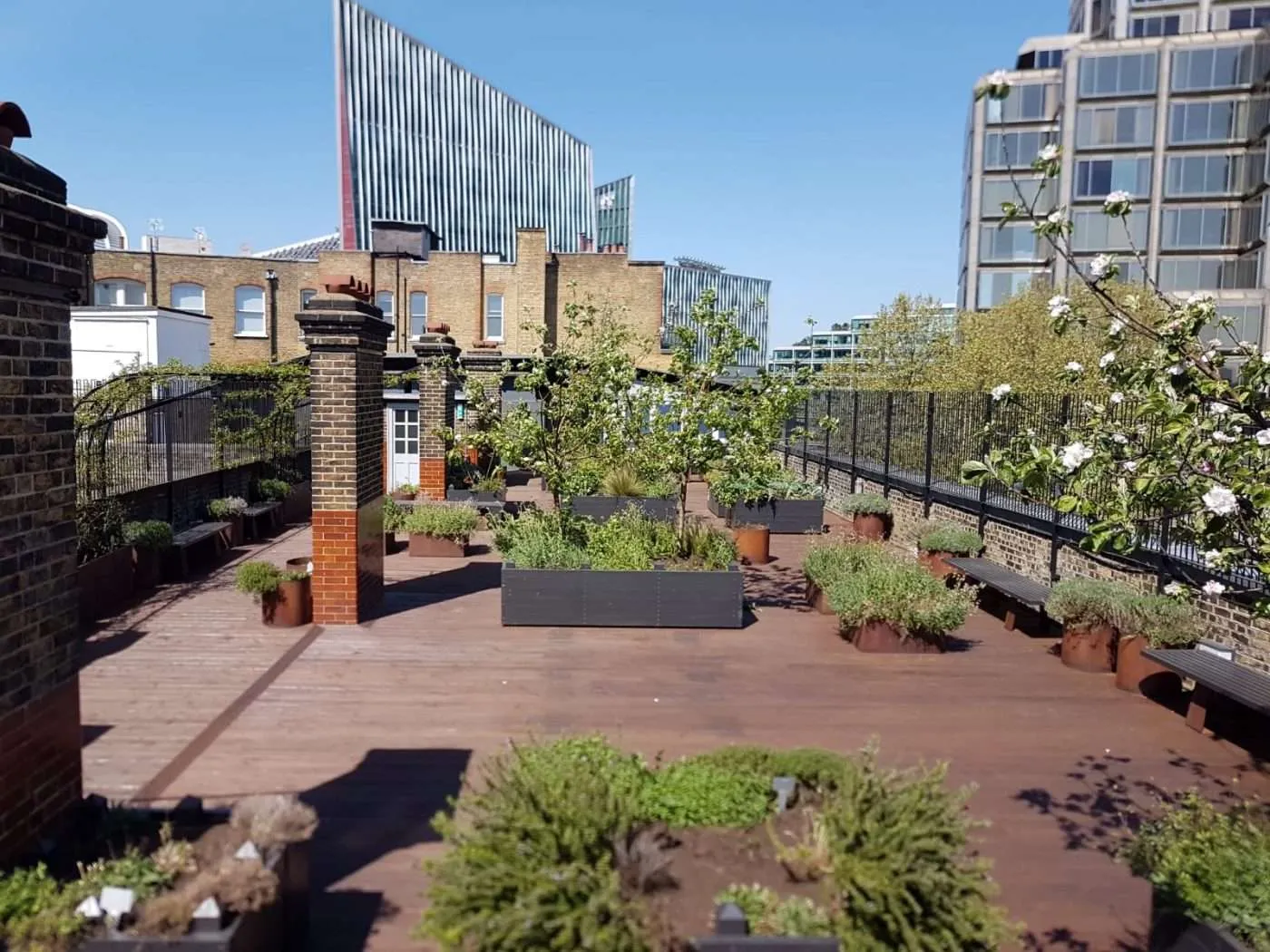 Cathedral View garden