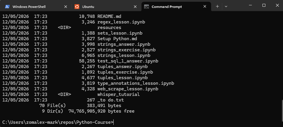 The terminal using Windows Command Prompt